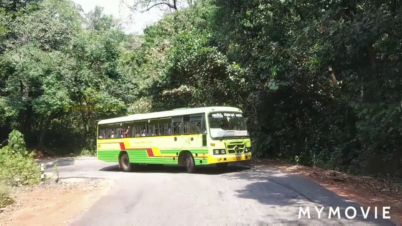 Drive on Sirsi - Kumta SH-69, Devimane forest road.