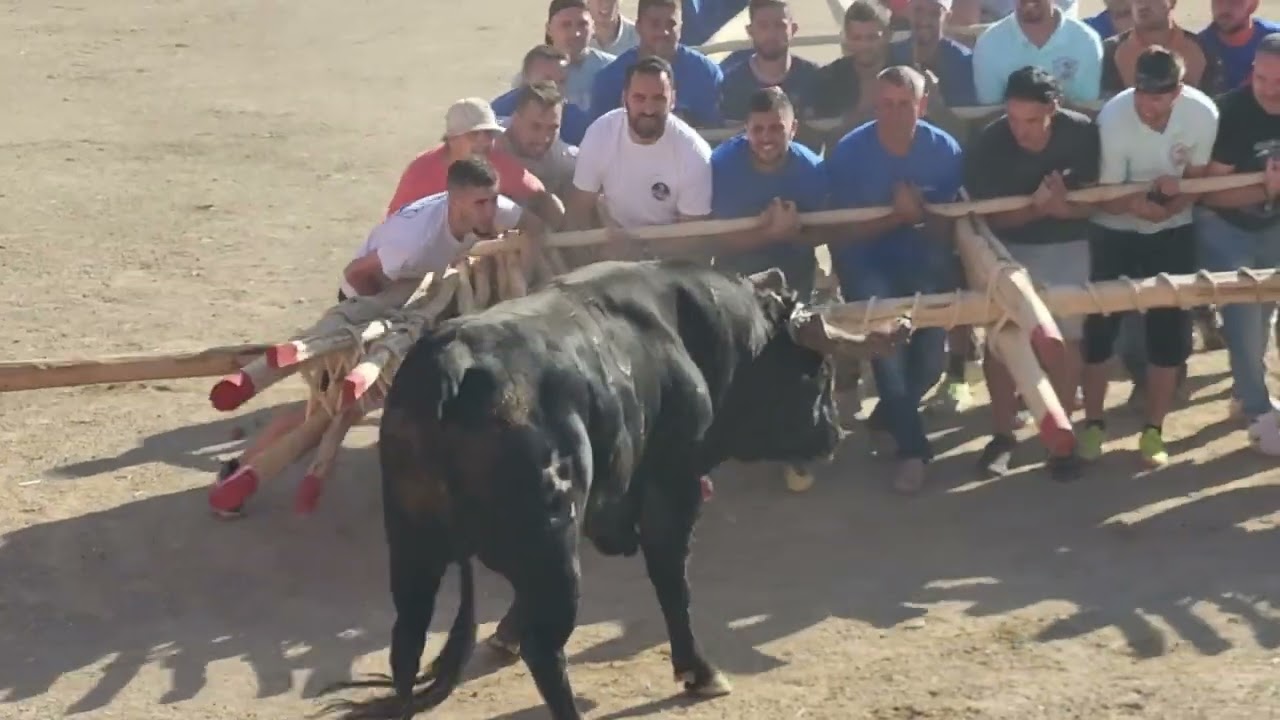 corrida 2022 Soito