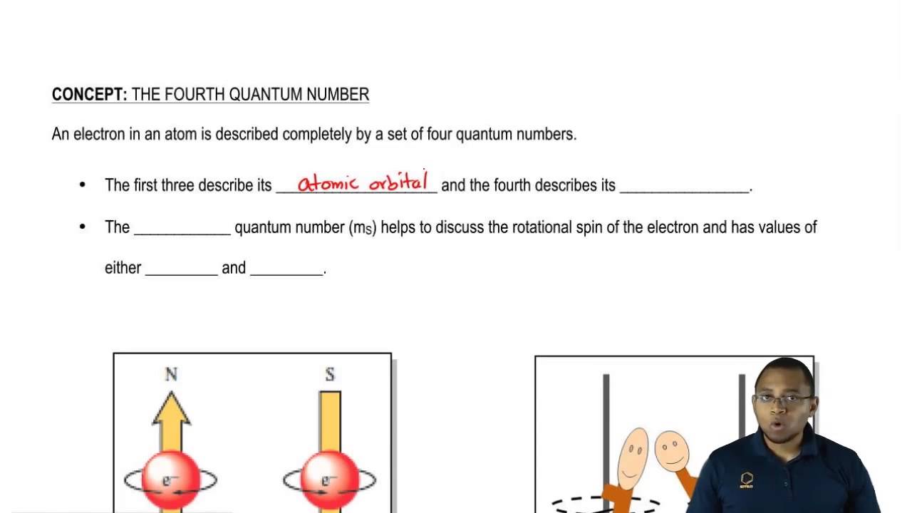 The Spin Quantum Number