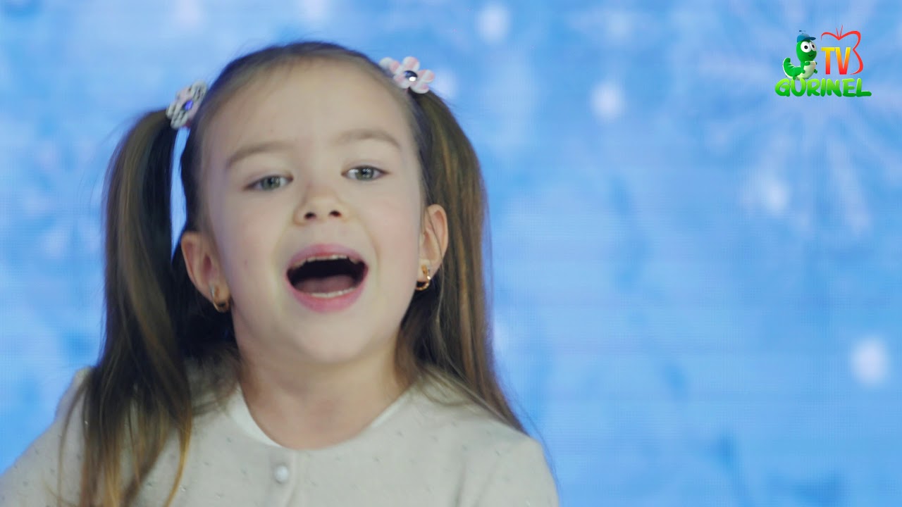Andra Sofi Ghicavii - Iarna în Moldova