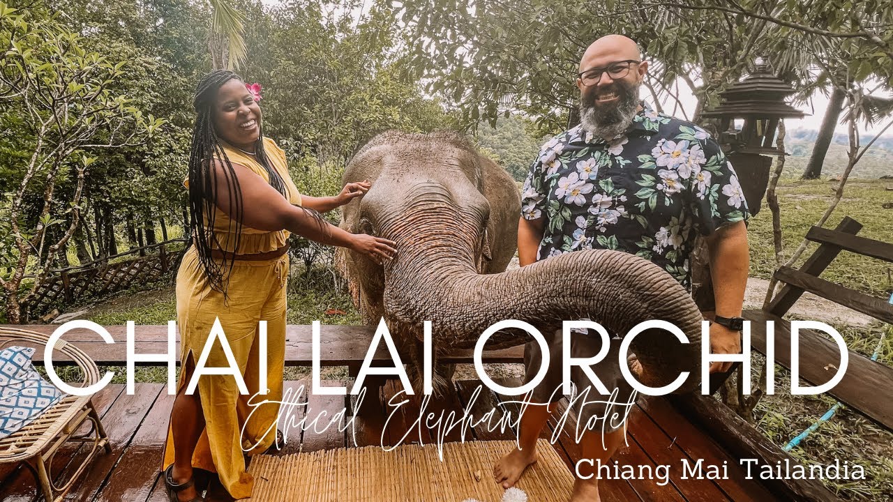Episodio 28  Chai Lai Orchid  Hotel de Elefantes Ético
