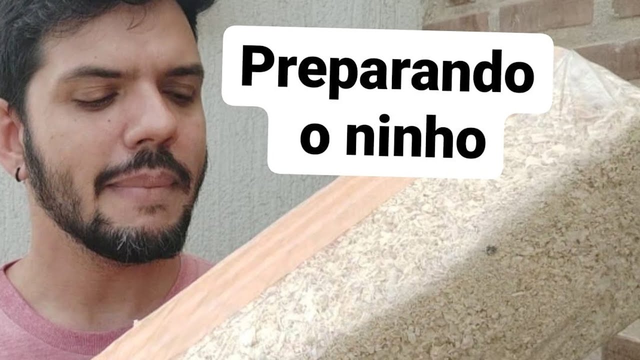 O que utilizar dentro do ninho de calopsita?