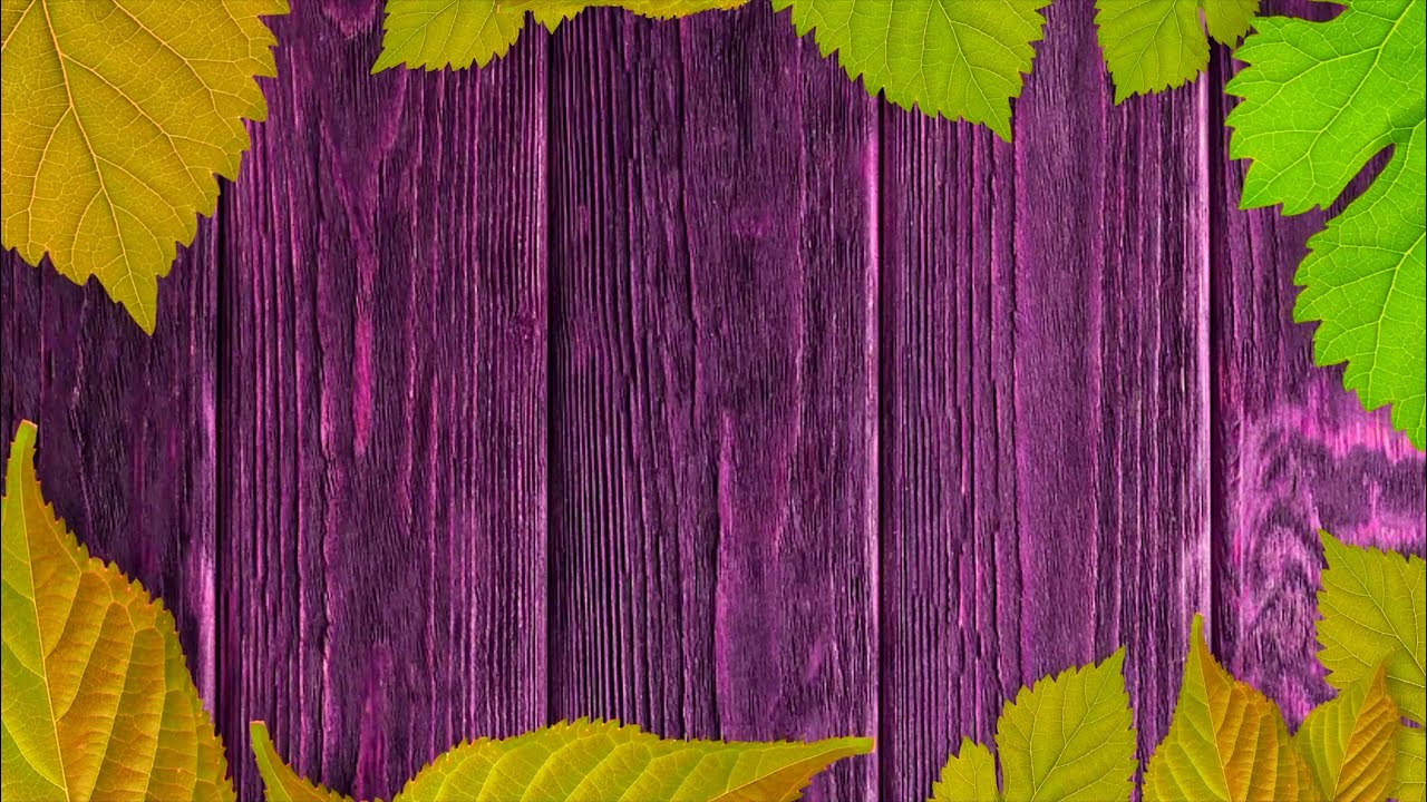 Leaf Background loop video, leaf animation background, leaf animation background free download UHD4K