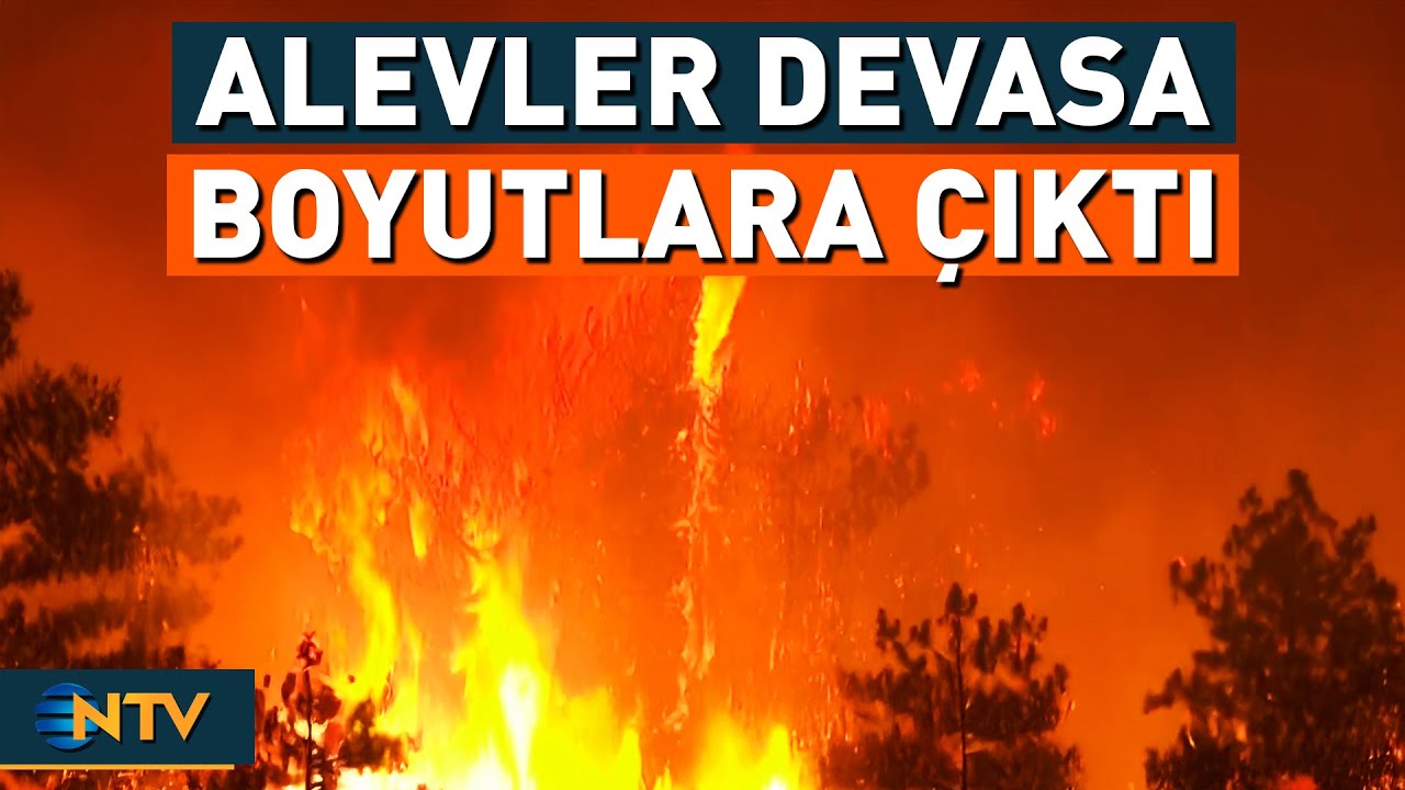 Bursa'da Çarpıcı Görüntüler! Yangının Önüne Geçilemiyor, Alevler Giderek Büyüyor | NTV