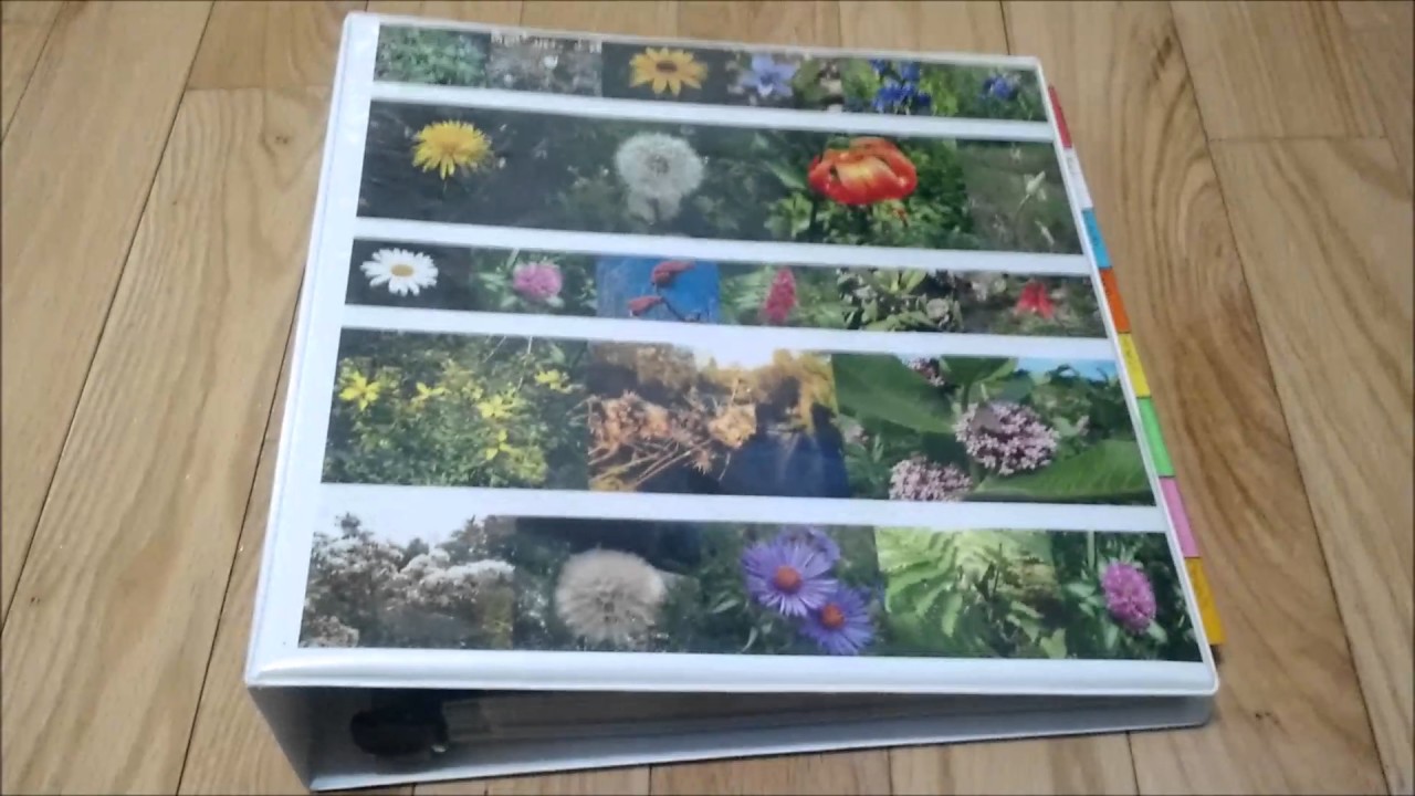A Herbal Materia Medica: What It Is and How to Create One
