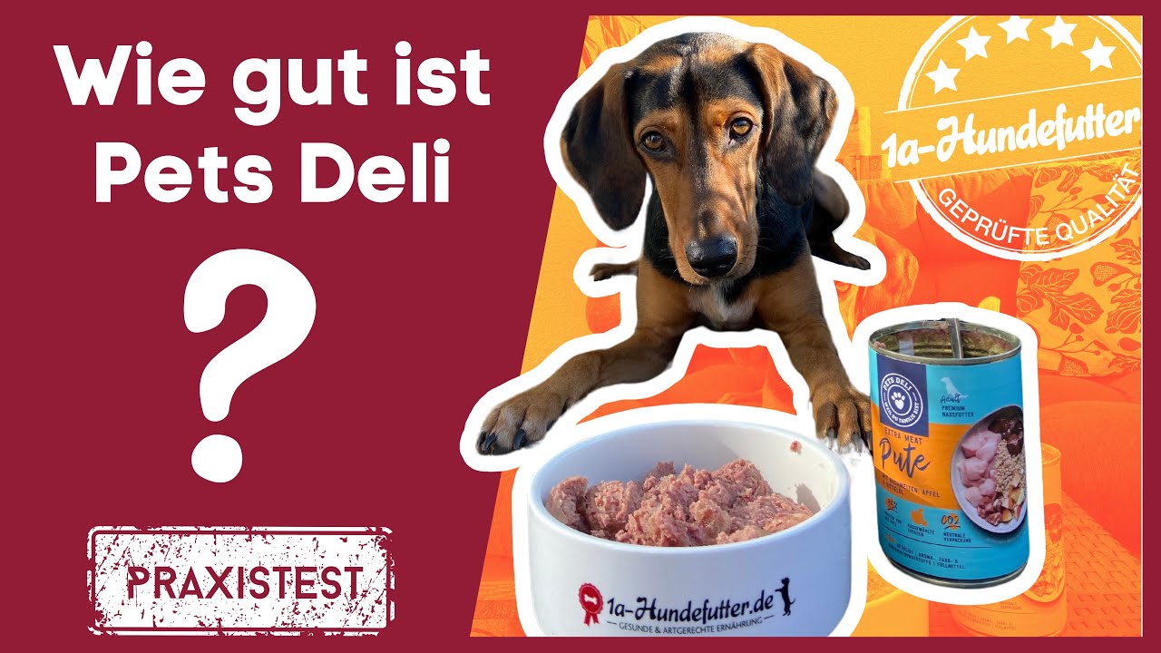 PETS DELI im Hundefutter Test 2026 | Wie gut ist das Pets Deli Nassfutter?