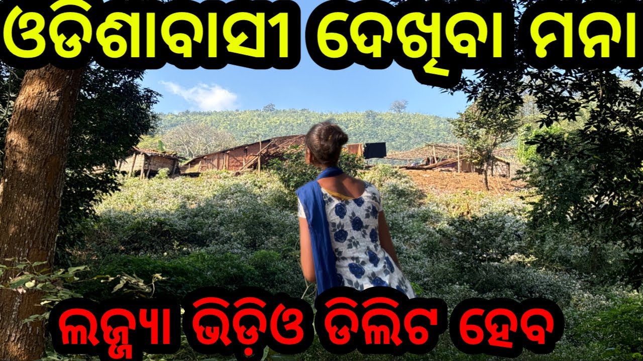 ଲଜ୍ଜ୍ୟା ଓଡ଼ିଶାରୁ କହିବାକୁ❗ସତ ଜାଣିଲେ ହୋସ୍ଉଡିଯିବ❗#triballife #charigarhvlogs #travelvlog #topodiavideo