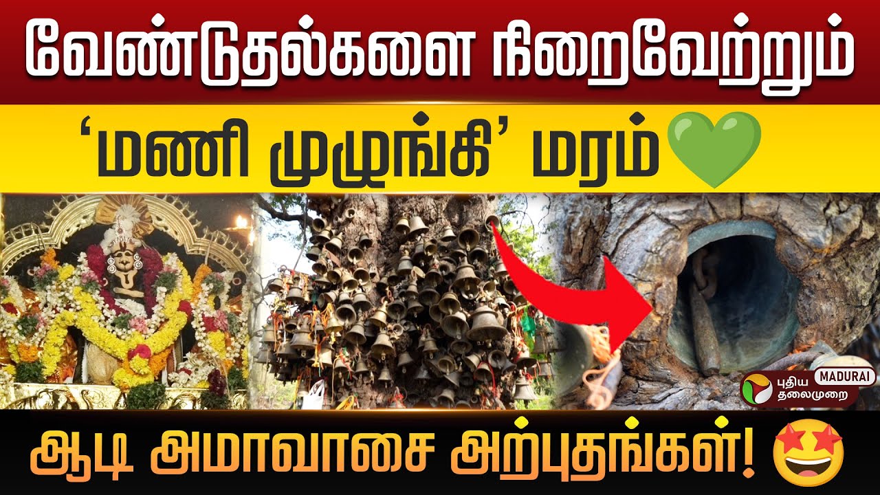 இயற்கையும் ஆன்மீகமும் சங்கமிக்கும் சொரிமுத்து அய்யனார் கோவில்..ஆடி அமாவாசைப் பெருவிழா | SacredSites