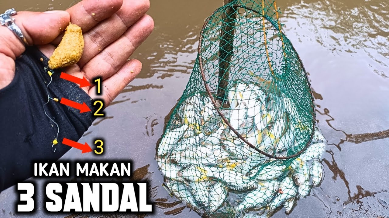 RAHASIA IKAN MAKAN SANDAL‼️mancing ikan wader kepek rangkaian renteng 3 sandal