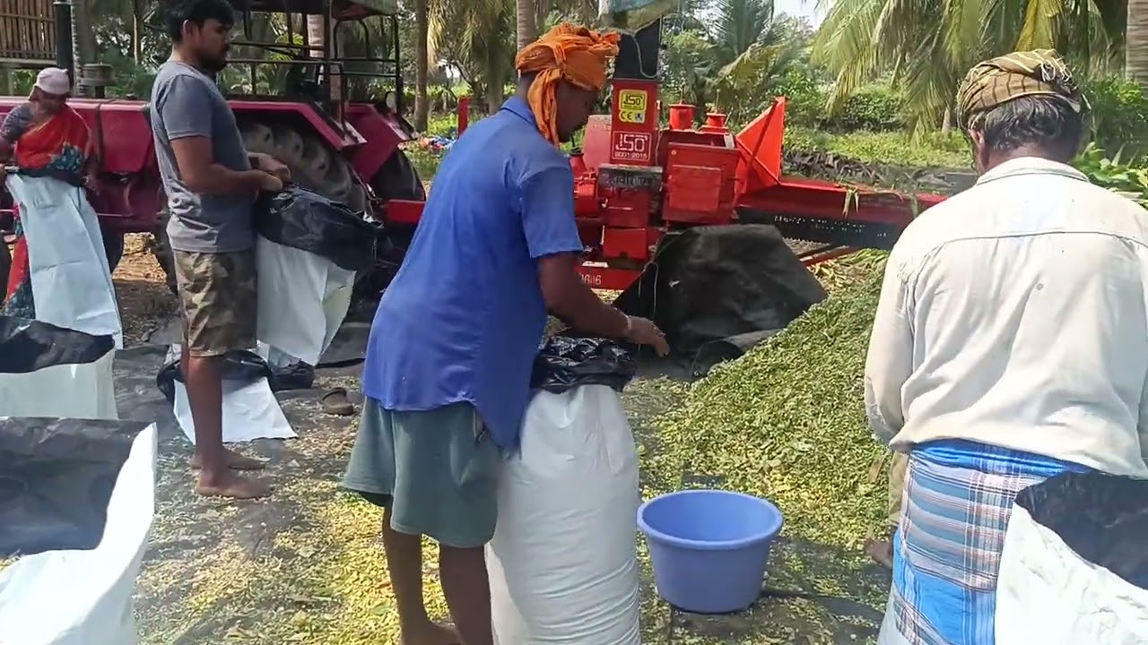 Silage packing 