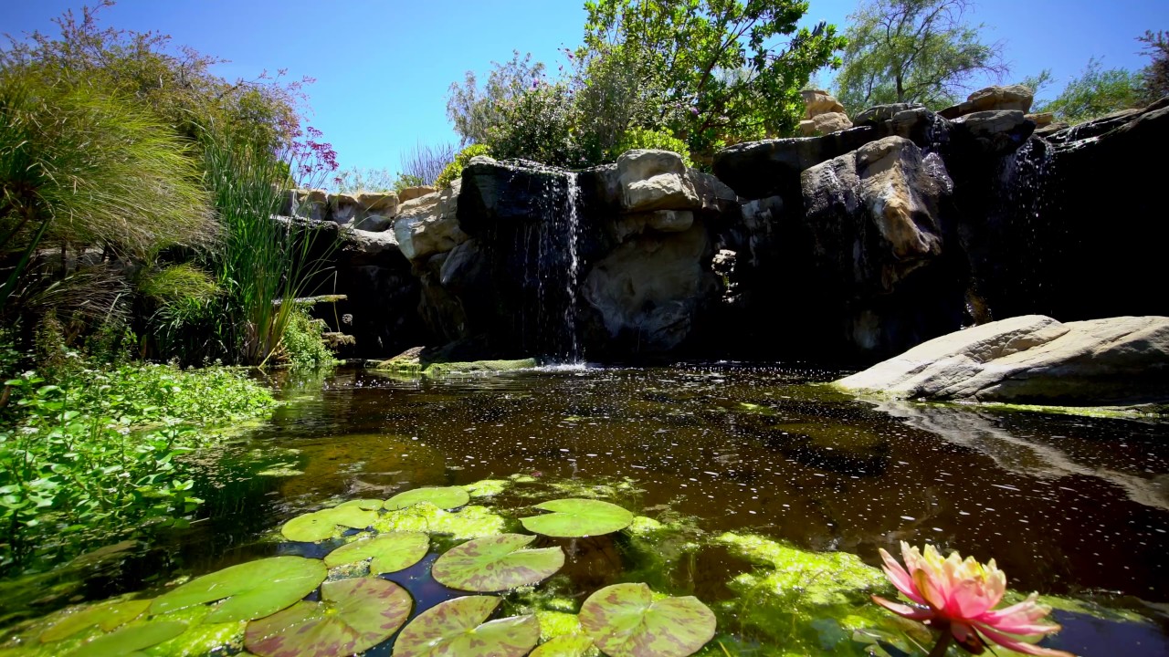14175 Mulholland Drive - Beverly Hills