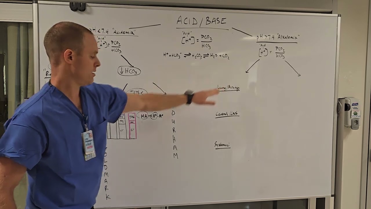 Acid Base 15Aug2024