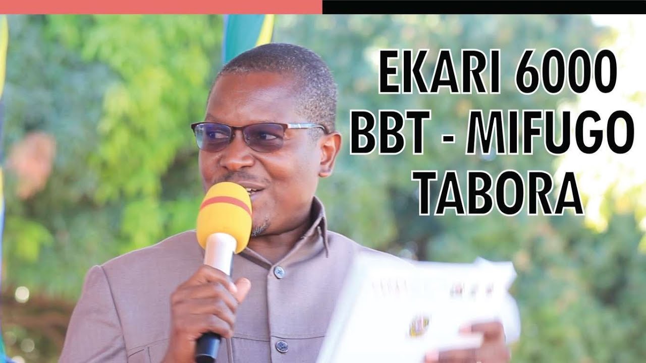 TABORA YATENGA EKARI 6000  WILAYA YA KALIUA TAYARI KUPOKEA MRADI WA BBT - MIFUGO, FURSA KWA VIJANA