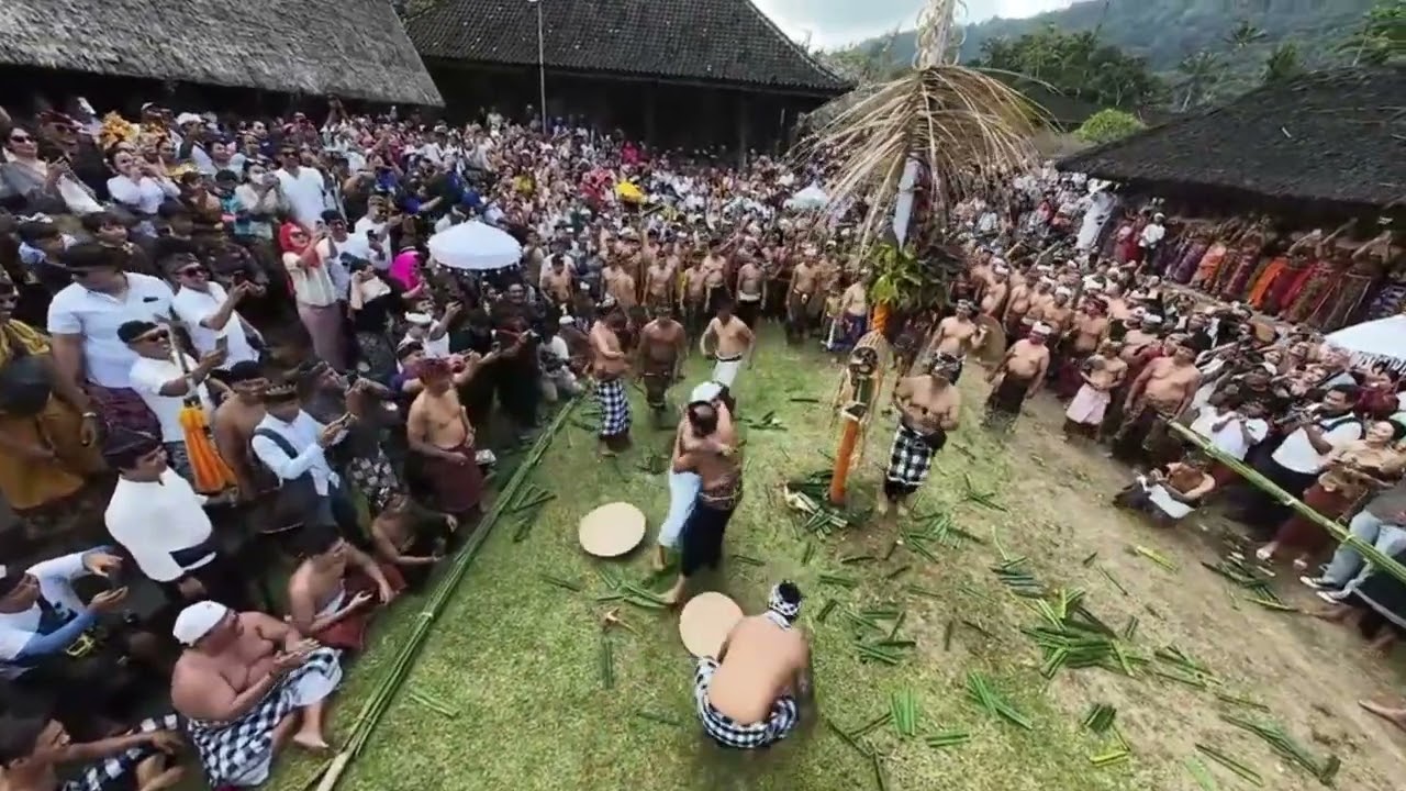 Tradisi Mekare -Bali- | Tugas Video