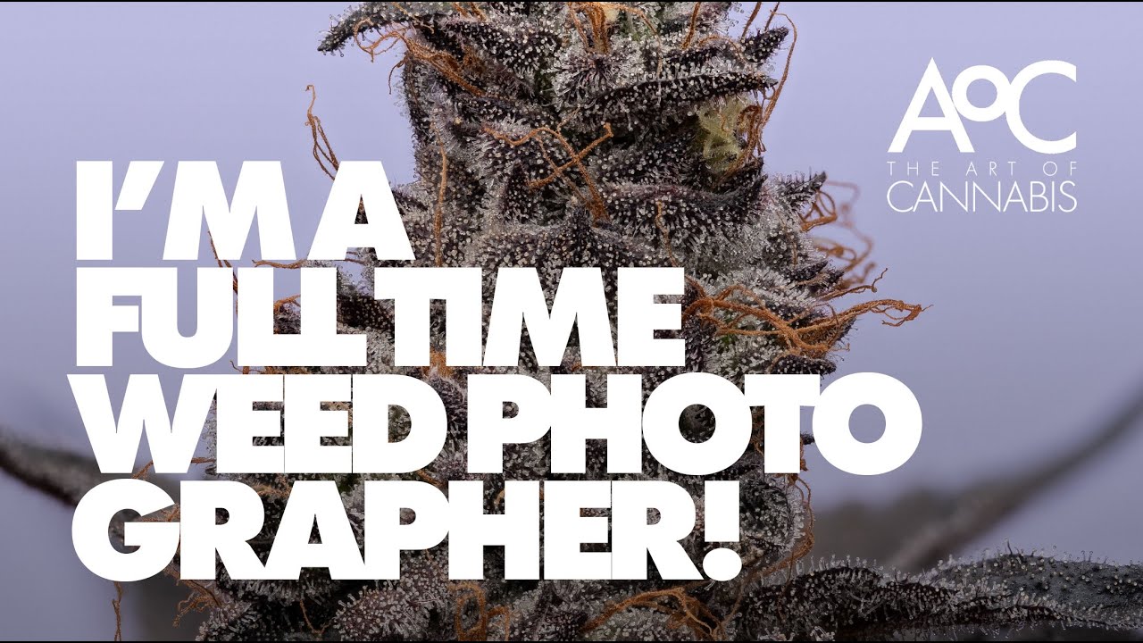 I&rsquo;m a full time weed photographer &ndash;&nbsp;what?!