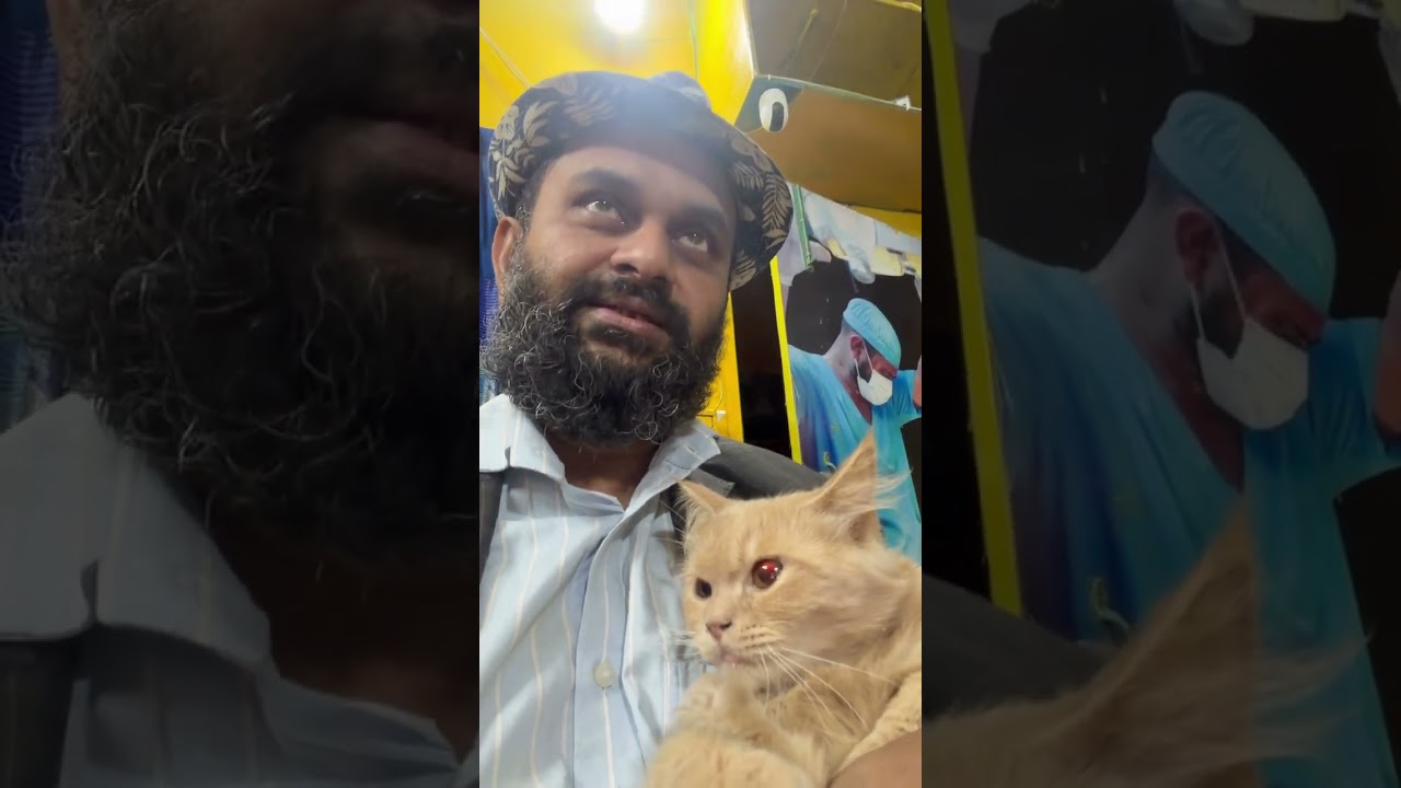 Dog& Cat Vaccine: Dr. Sagir's Pet Clinic: ডাঃ সাগীর'স পেট ক্লিনিক: Lalmatia: 01912251312,01752987436