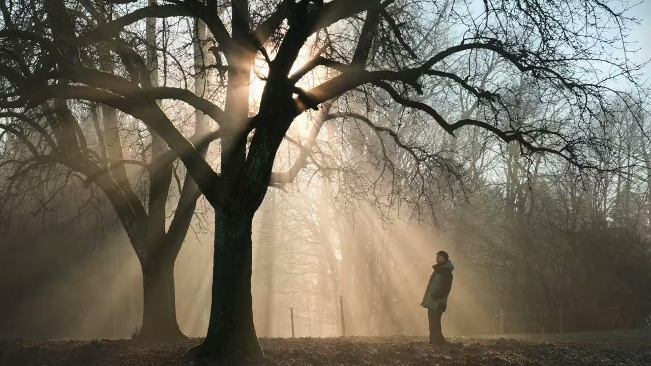 16/3/26 il SENSO - Vangelo del giorno