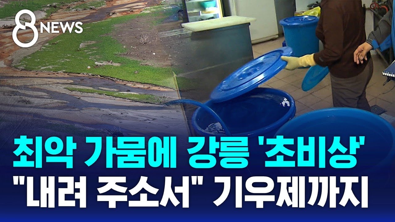 최악 가뭄에 강릉 '초비상'…