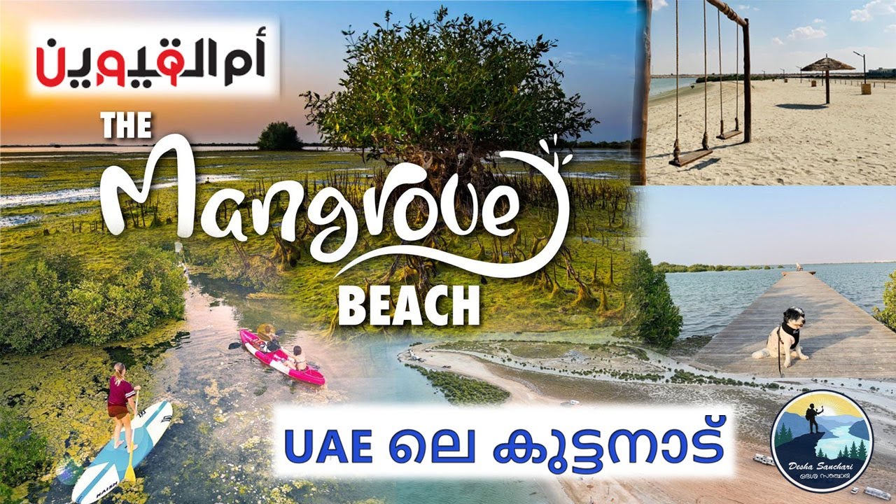 Mangrove Beach Umm Al Quwain | ഉം അൽ ഖുവൈനിലെ കുട്ടനാട് | DESHASANCHARI  | UAE