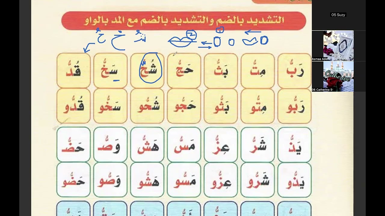 التشديد بالضم و التشديد بالضم مع المد بالواو مع ال Altachdid beldam