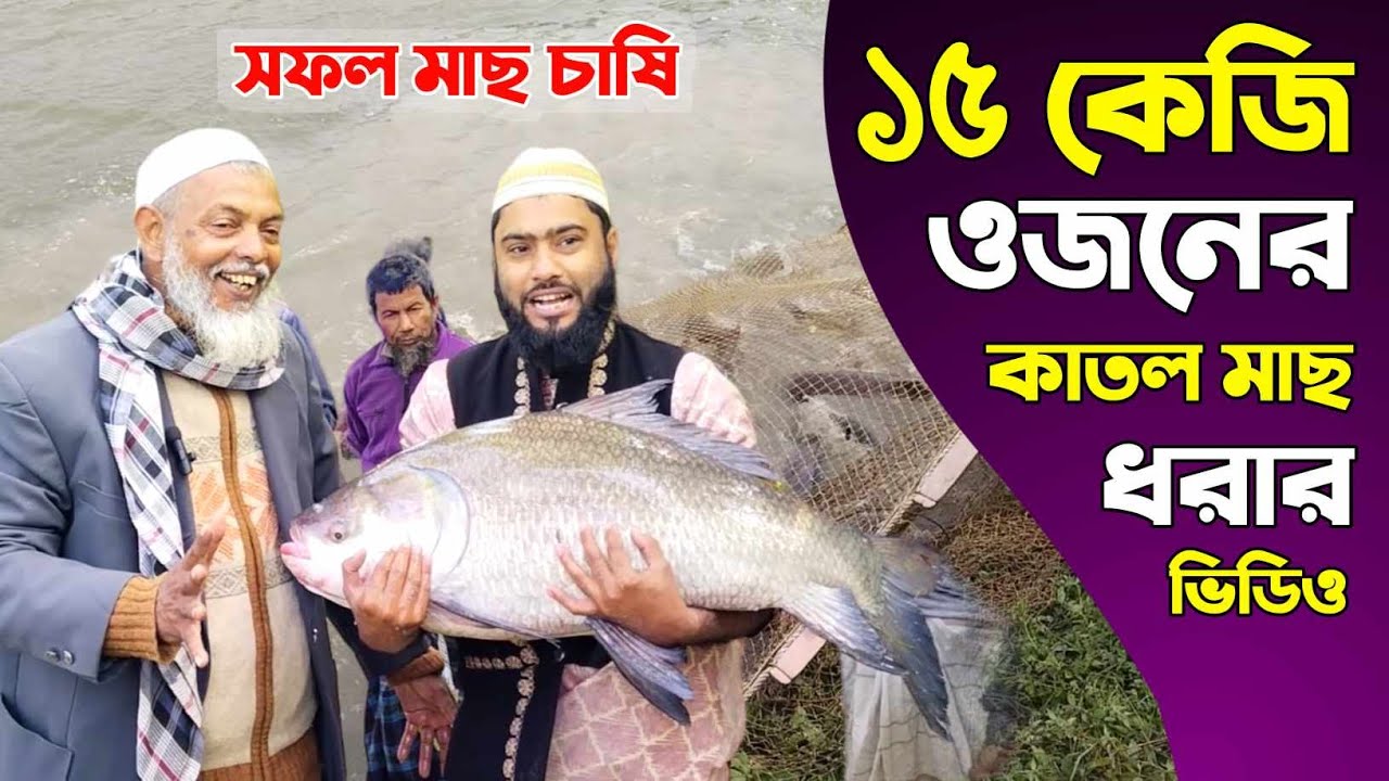 ১৫ কেজি ওজনের কাতল মাছ ধরার ভিডিও, সফল মাছ চাষি জামাল মামার সফলতার গল্প
