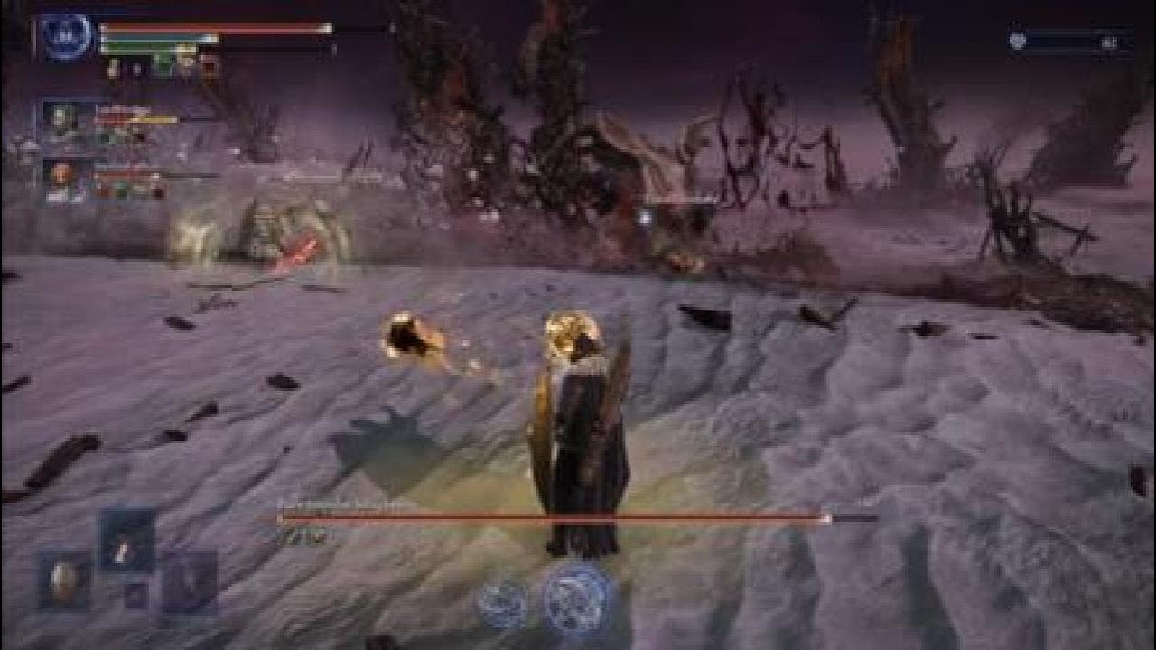 ELDEN RING NIGHTREIGN DLC DREGLORD Bossfight