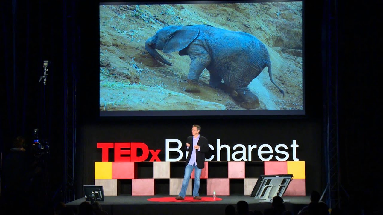 On Meaningful Risk: Nick Thorpe at TEDxBucharest