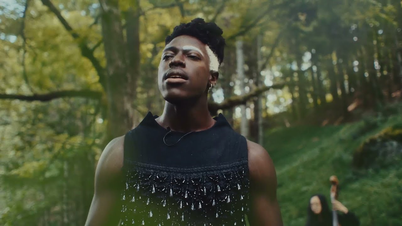Moses Sumney - In Bloom (in the woods)