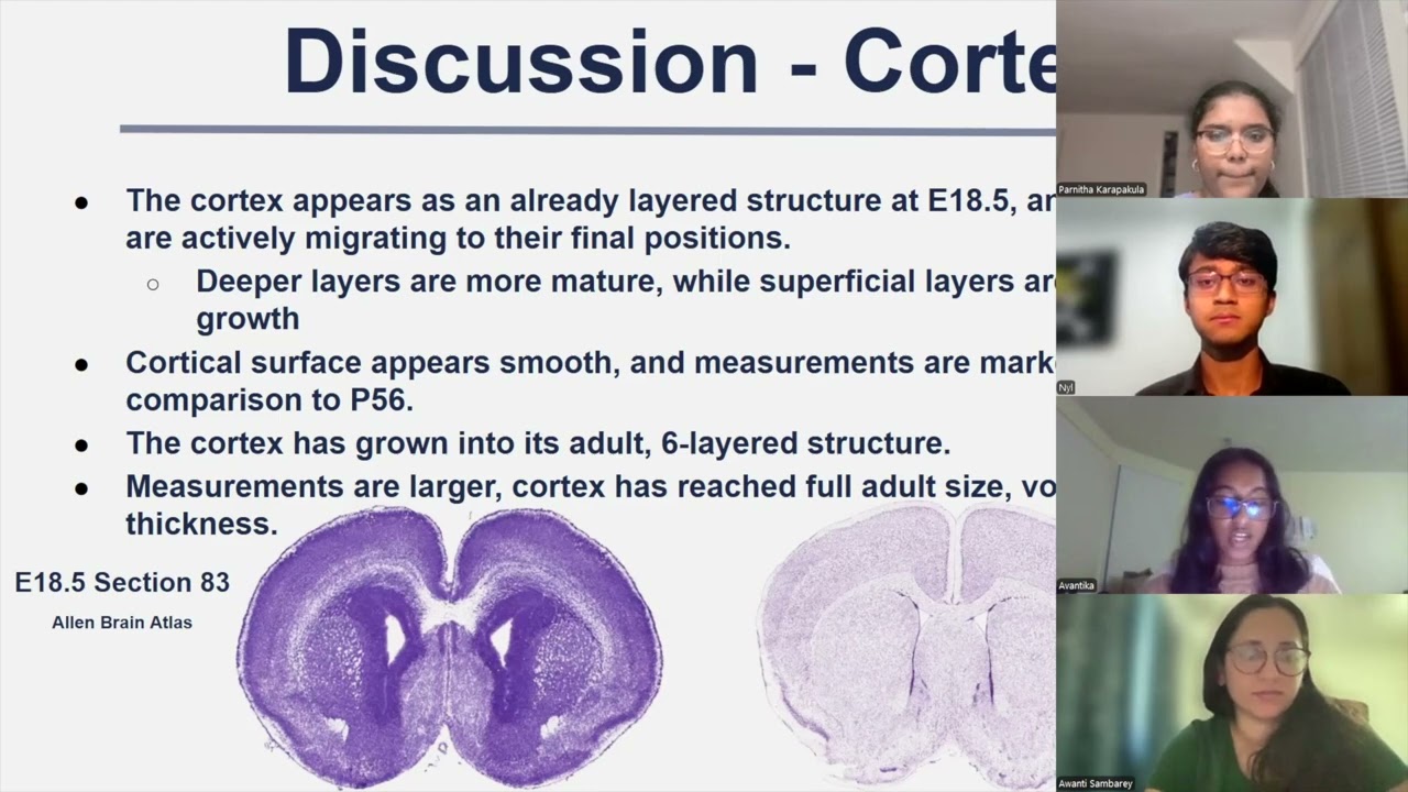 From Pixels to Patterns-tracking Brain development-2025 Summer Virtual Showcase