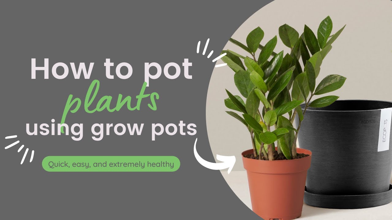 How to pot plants in a decorative planter using a nursery grow pot