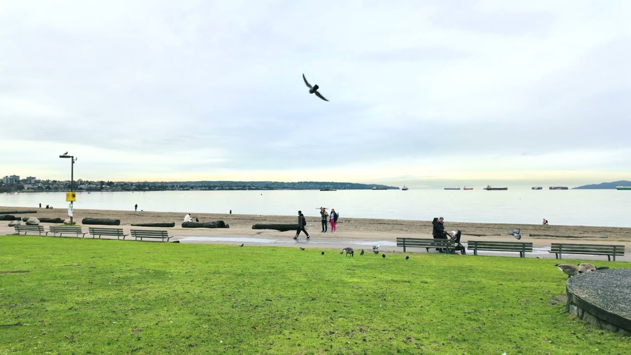 English Bay, Vancouver (January 31, 2024)