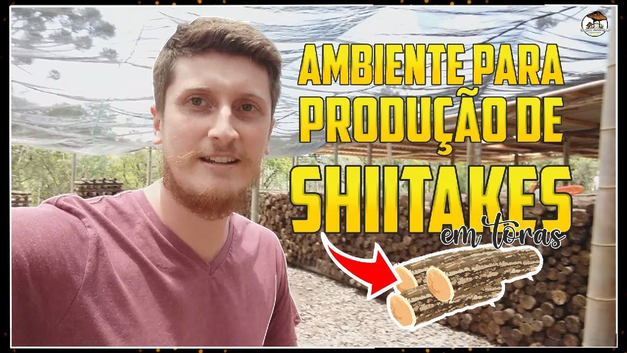 Ambiente Para CULTIVAR COGUMELOS SHIITAKE Em Toras