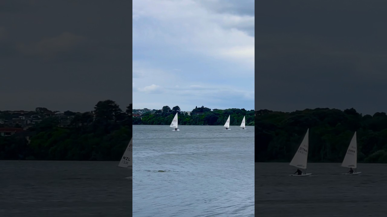 Sailing ⛵️ 