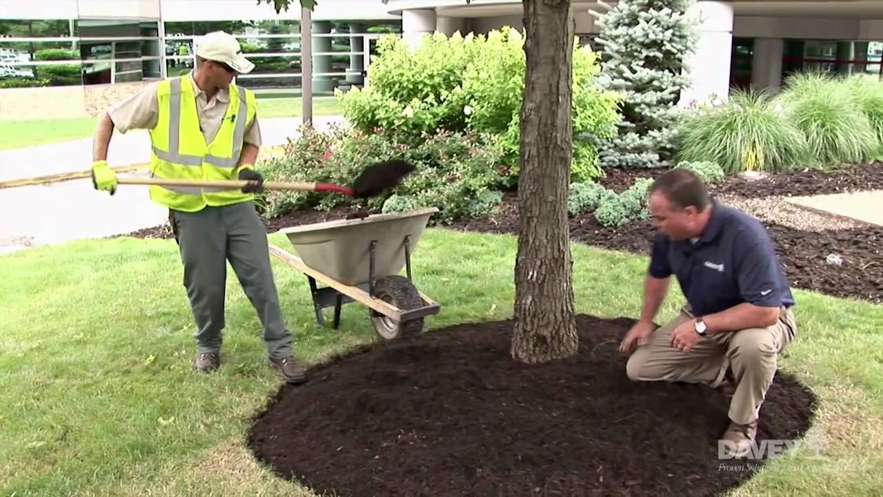 Effective Mulching
