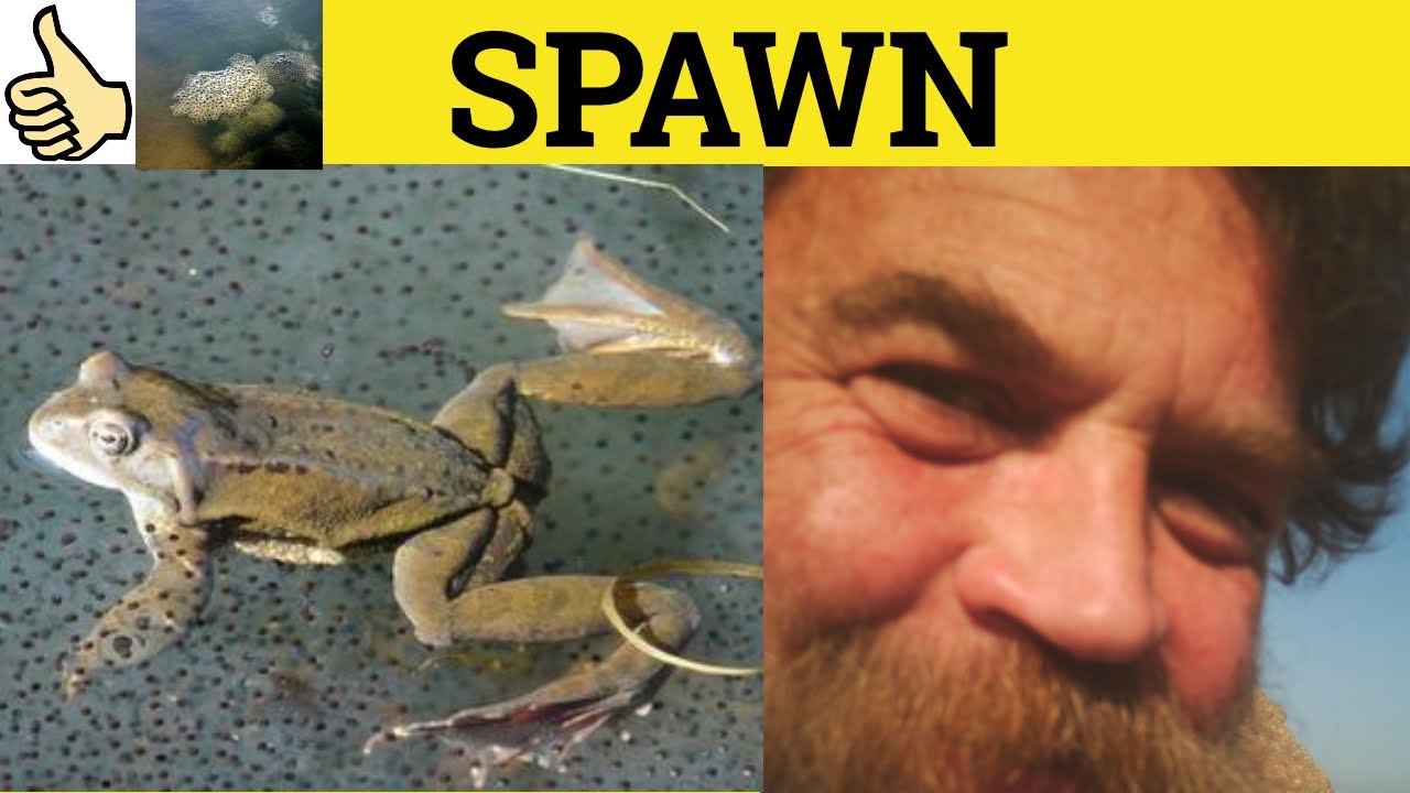 🔵 Spawn Meaning - Spawn Examples - Spawn Defined - Spawn - C2 English Vocabulary