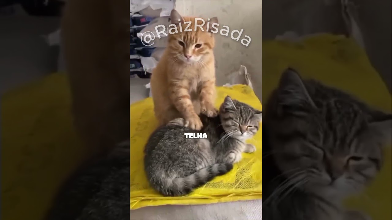 CLEITINHO FUB&Aacute; Se Irrita com CAVADINHA Do Yuri Alberto! Sobrou Pro Yamagato!