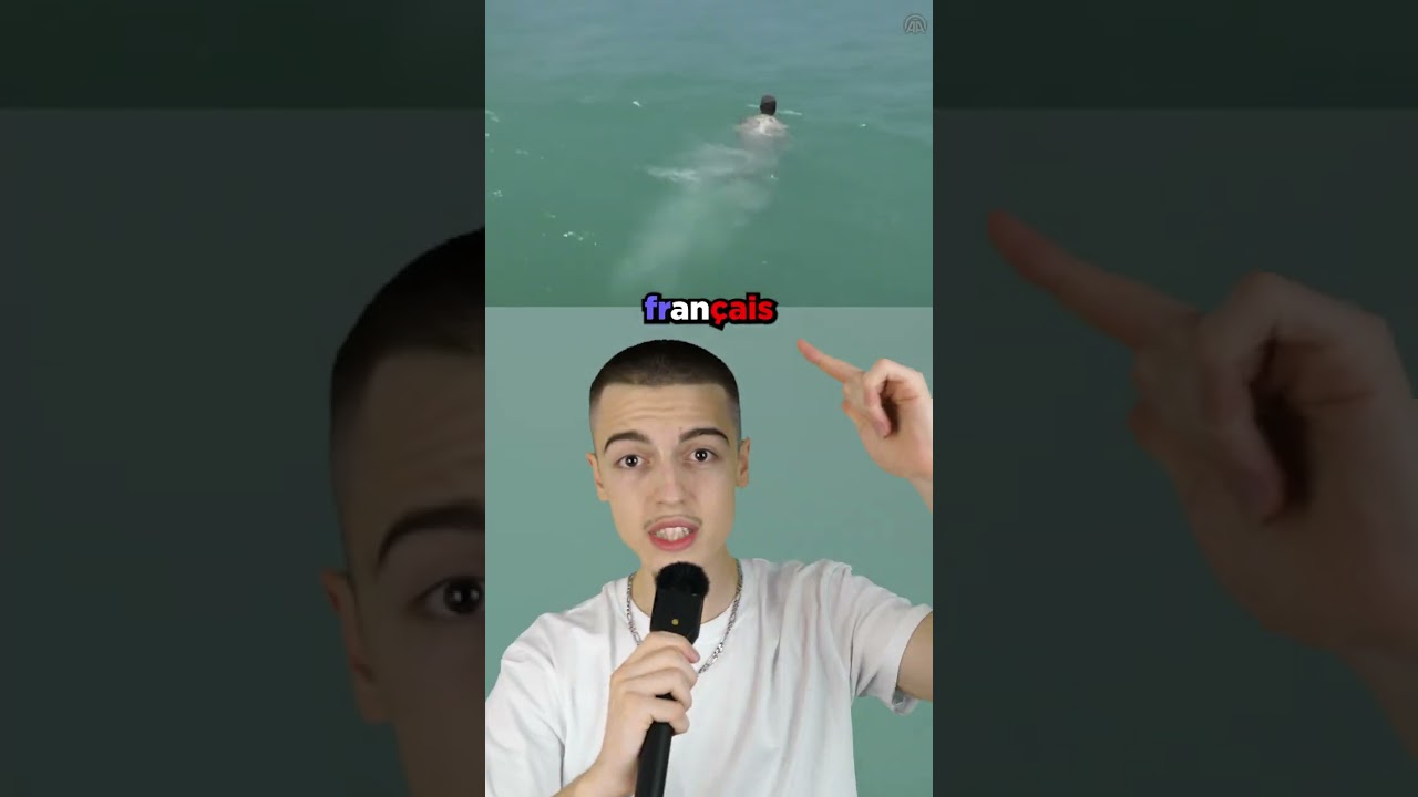 A French soldier is thrown into the water blindfolded! 🇫🇷😮