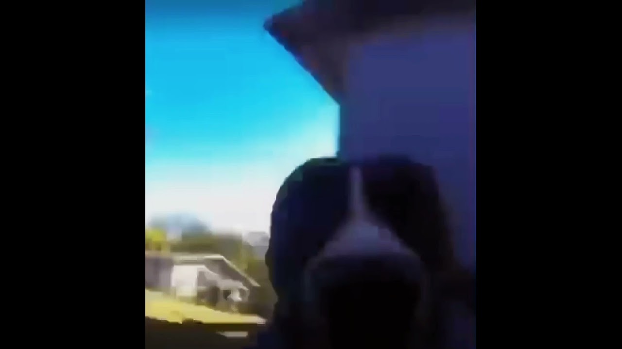 Pablo meme 4K