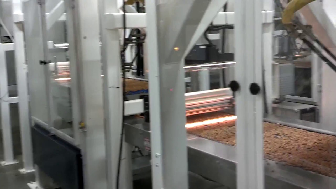 Robotic Almond Sorting Line
