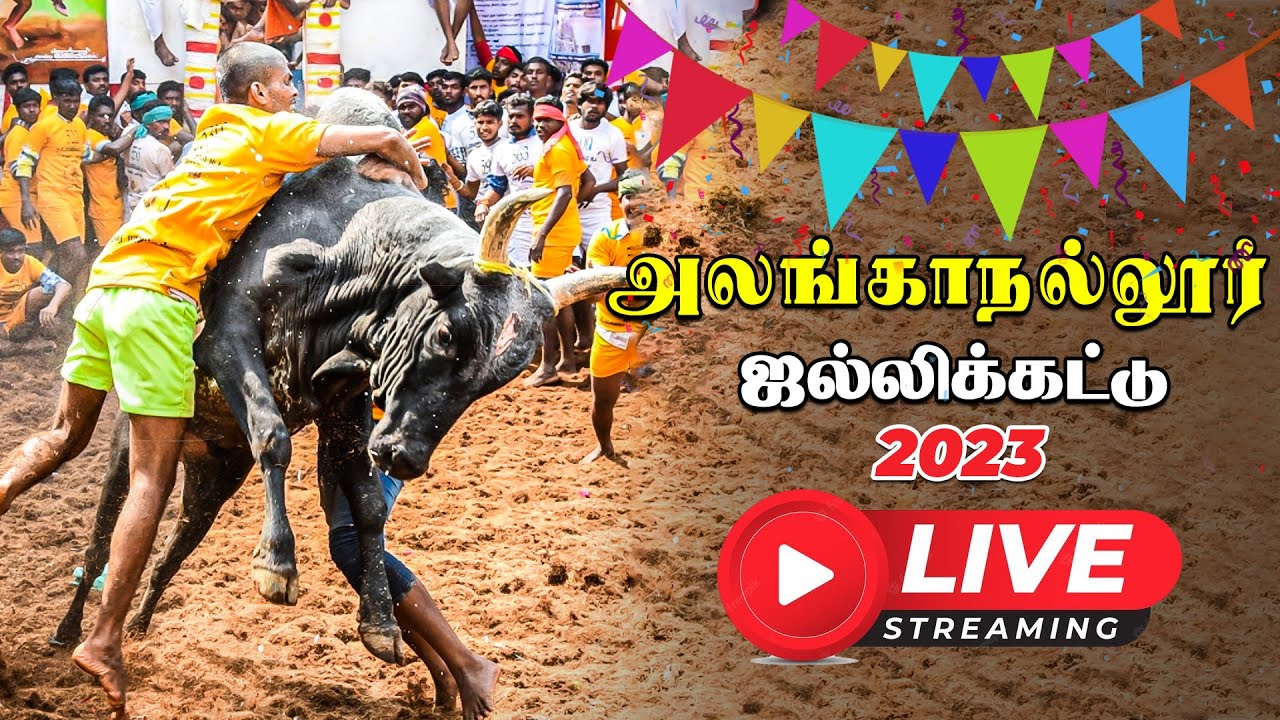 Alanganallur Jallikattu Live 2023 | அலங்காநல்லூர் ஜல்லிக்கட்டு நேரலை | Vikatan