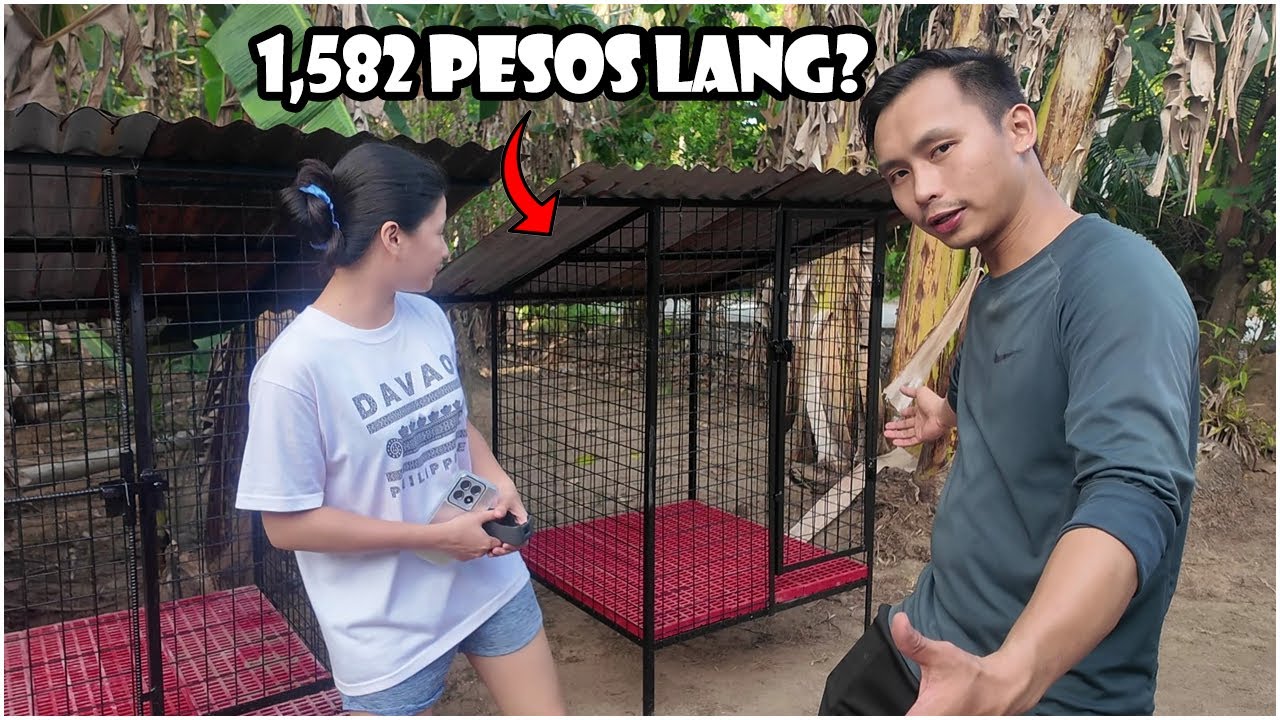 Pano Gumawa ng Low Cost 3x3 Ft Dog Kennel | DIY Bahay ng Aso