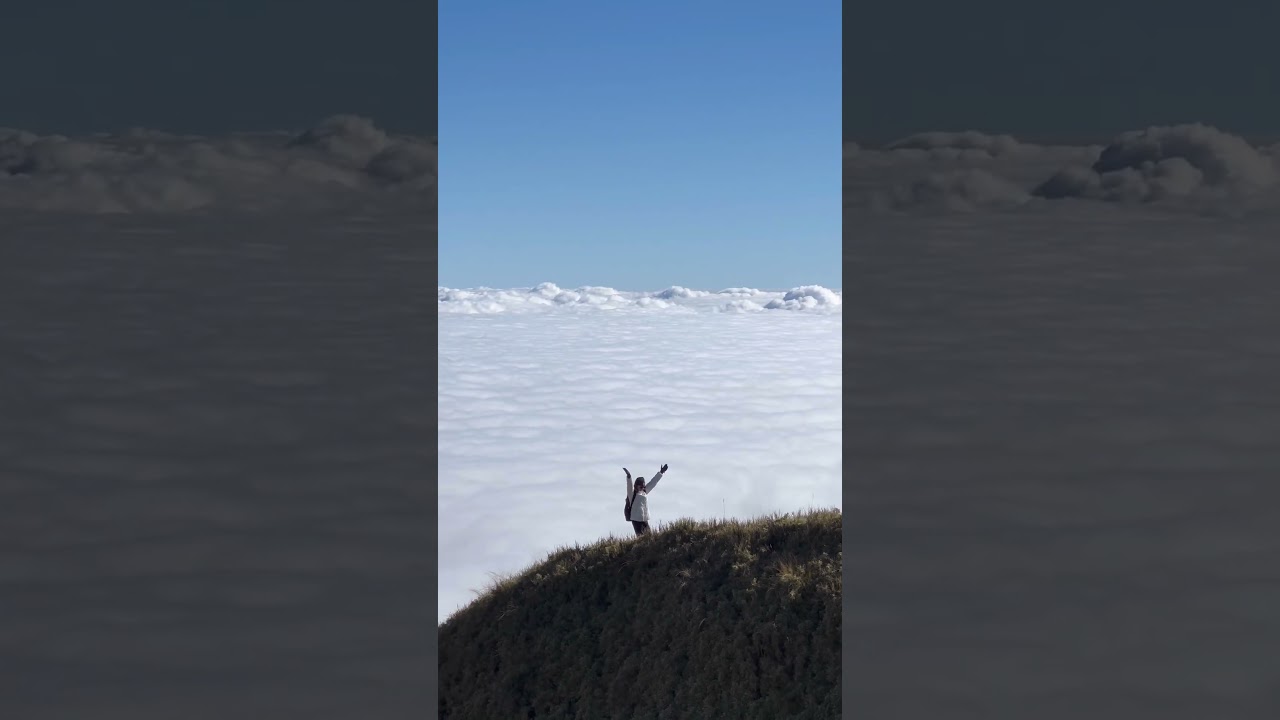Mt. Pulag #seaofclouds #mtpulag #benguetprovince #philippines #hiking