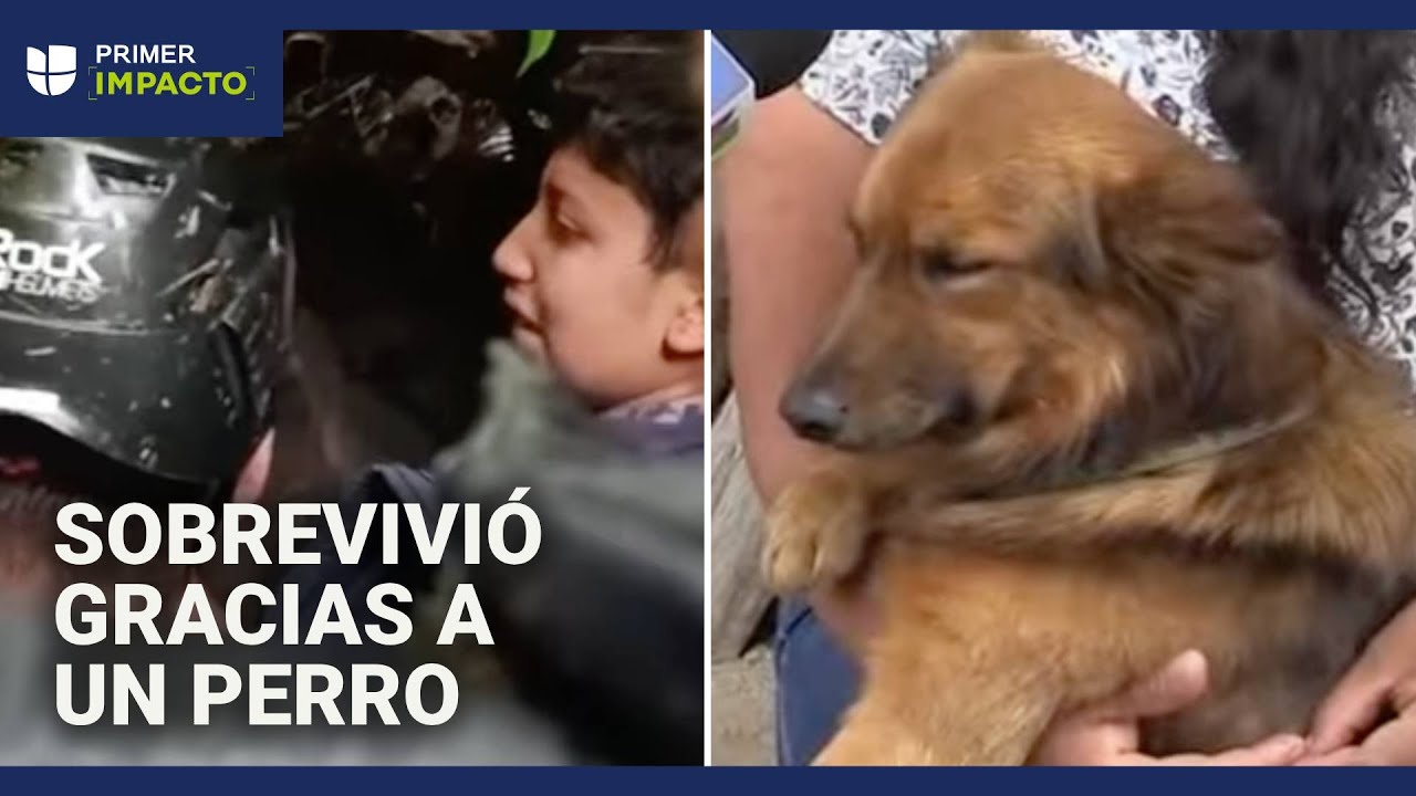 Rescatan a niño que pasó cuatro días perdido en la montaña: dice que sobrevivió gracias a un perro