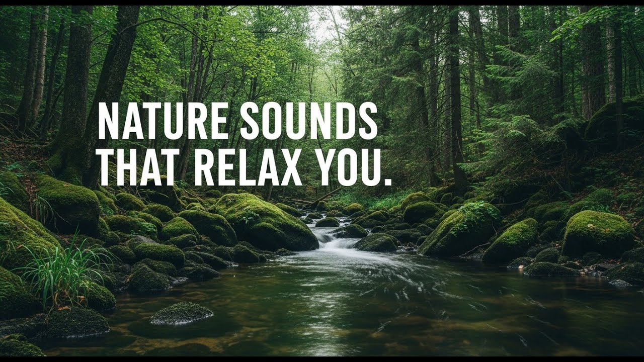 Gentle River Water Sounds 12 Hours Relaxing Nature Ambience for Study Focus and Meditation