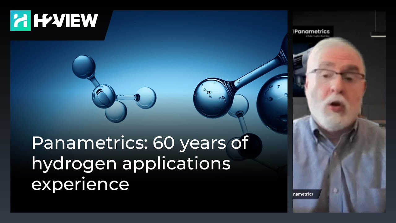 Panametrics: 60 years of hydrogen applications experience