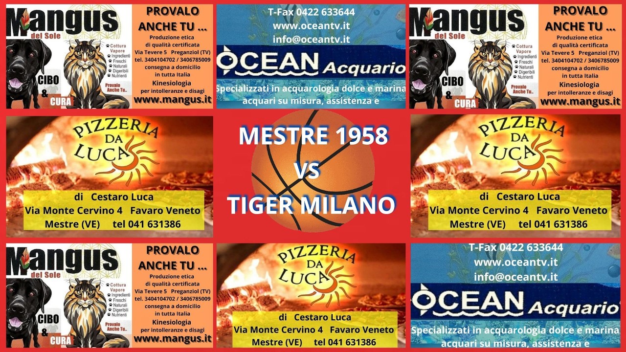 MESTRE 1958  vs  TIGERS MILANO  Campionato Maschile GOLD U19