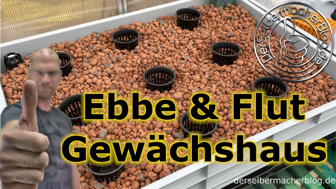 Ebbe und Flut System Gewächshaus (Hydroponik, Aquakultur, Hydrokultur, Aufbau und Technik)