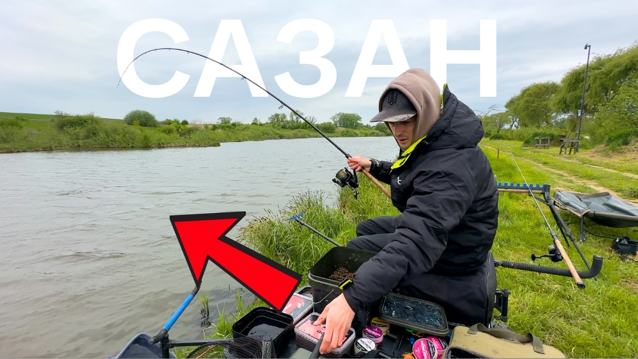 СКАЖЕНІ САЗАНИ - Ловля сазана в лататті