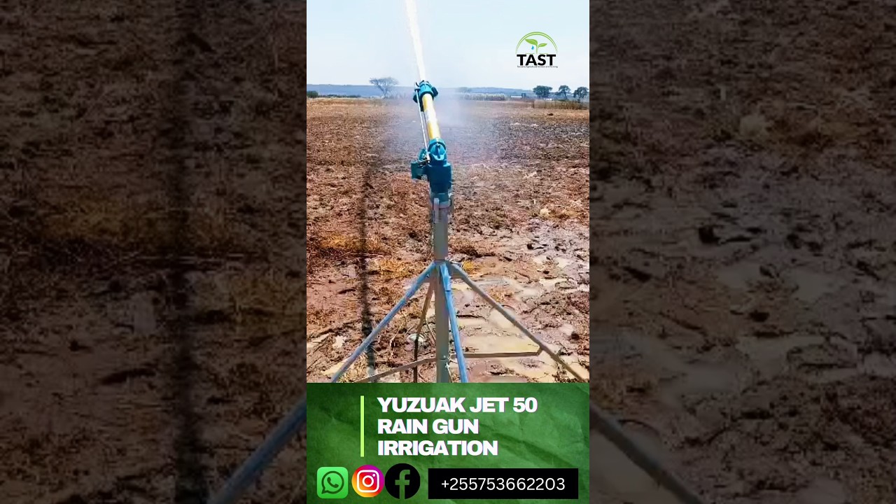 kilimo cha passion/passion fruit using yuzuak Jet 50 Rain gun irrigation#tast#tanzania#farm#kilimo