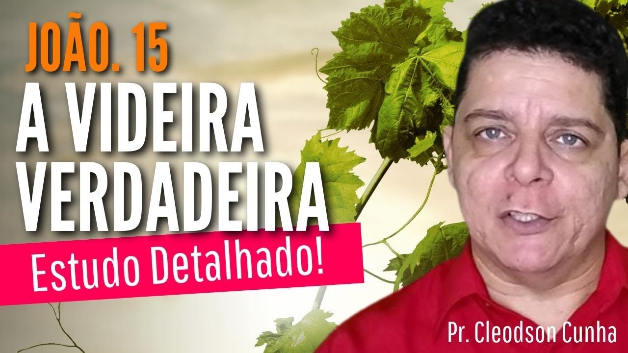 João 15 - A videira verdadeira - Estudo Biblico completo